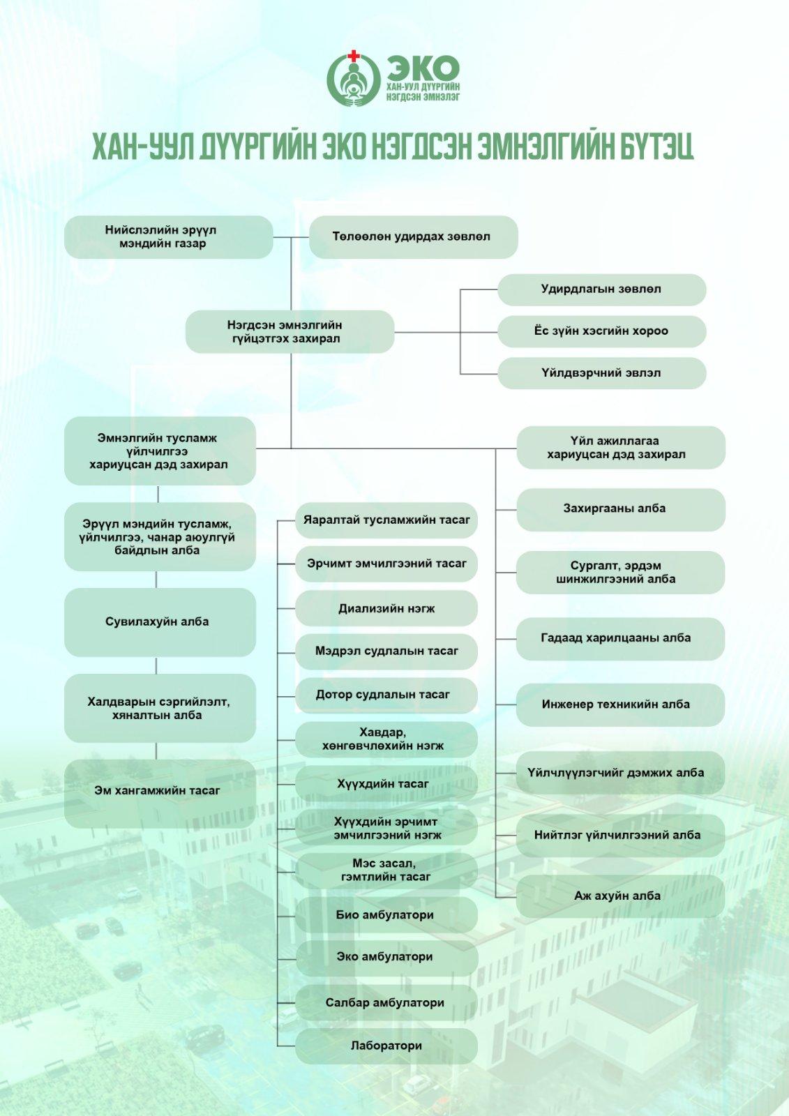 organization structure